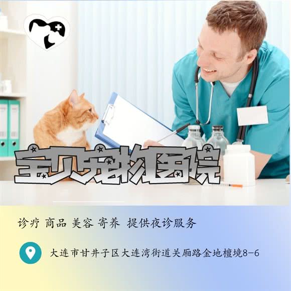 宝贝宠物医院:大连市甘井子区
