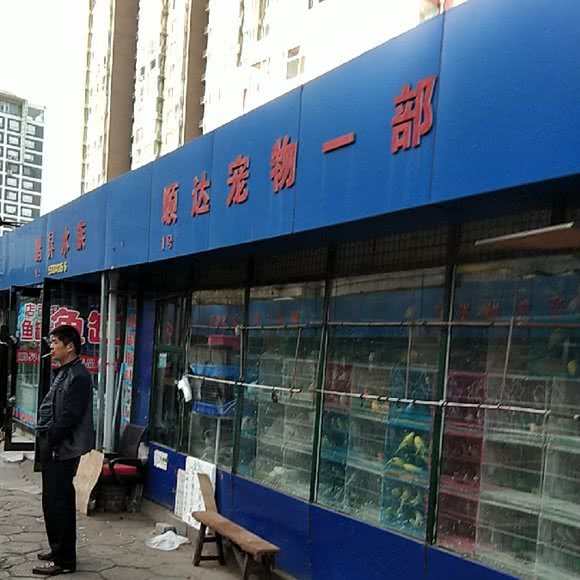 顺达宠物一部:太原市小店区长风街附近