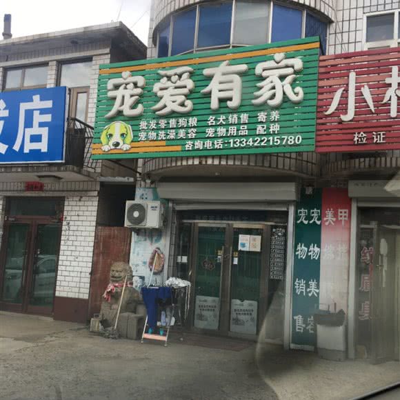 宠爱有家:大连市金州区