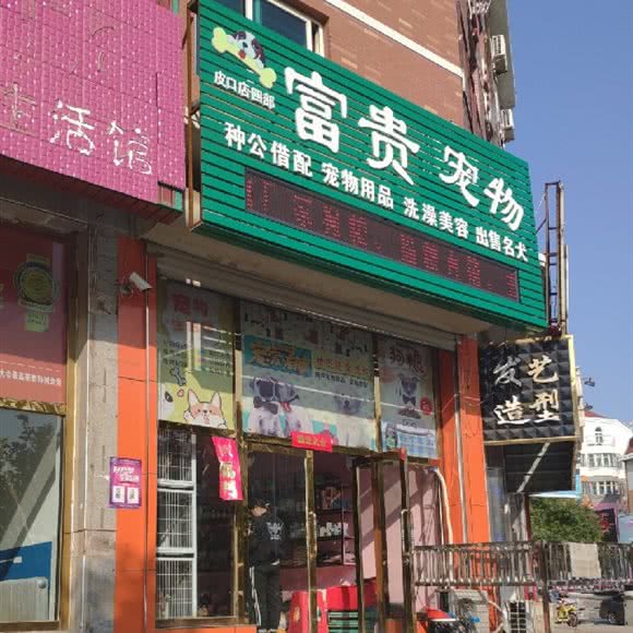 富贵宠物:大连市普兰店区