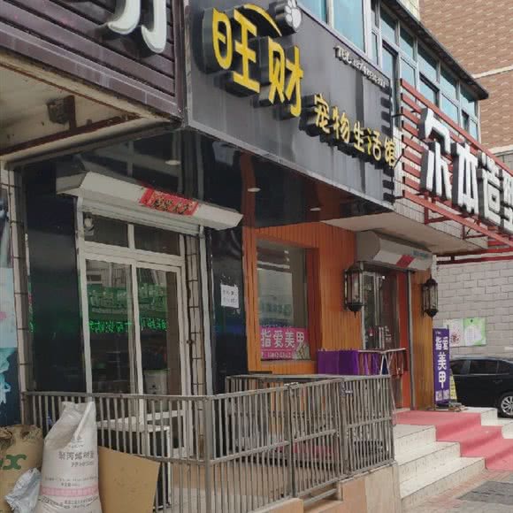 诺比宠物会所:大连市普兰店区