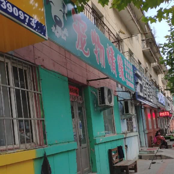 宠物情缘(西工路):大连市普兰店区
