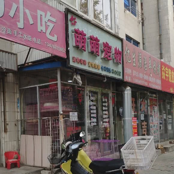 萌萌狗狗:大连市普兰店区