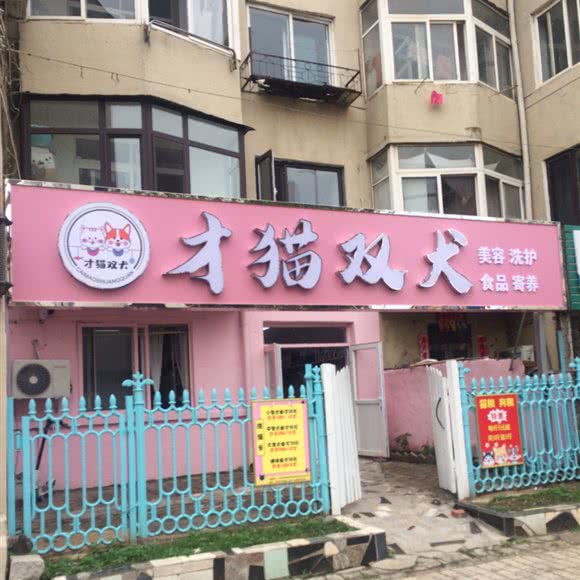 才猫双犬:大连市普兰店区