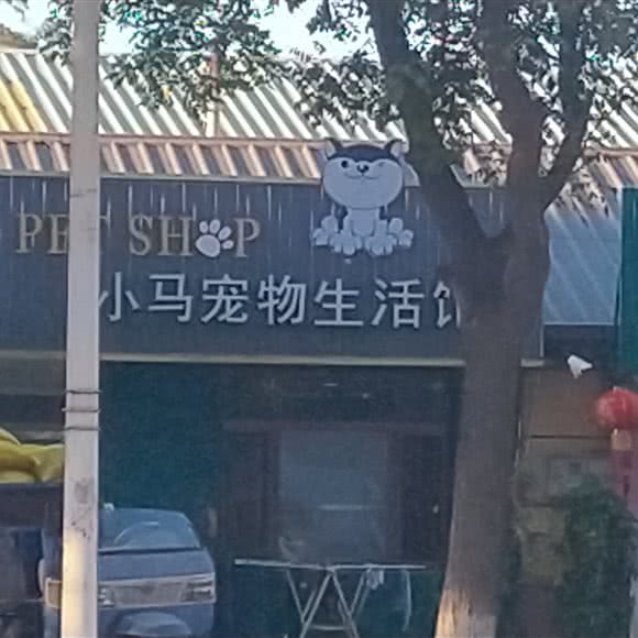 小马宠物生活馆:大连市瓦房店市