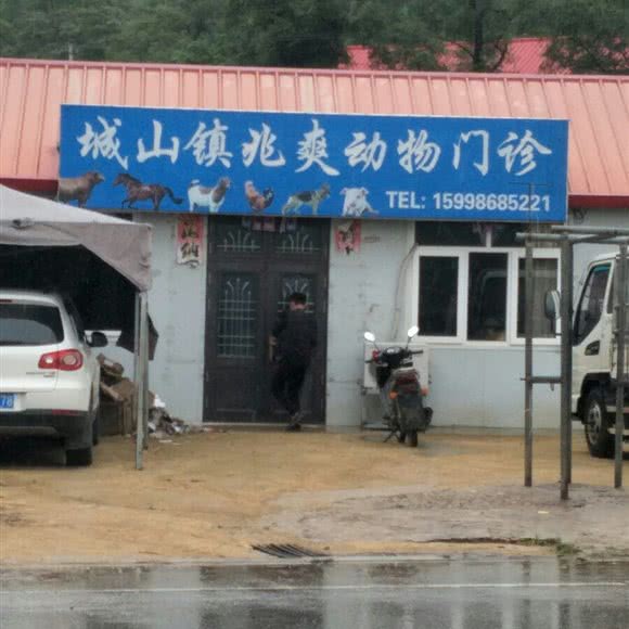 城山镇兆爽动物门诊:大连市庄河市