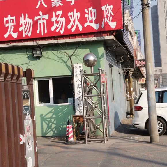 八家子宠物市场:鞍山市铁西区