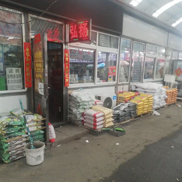 弘扬宠物店:鞍山市铁西区