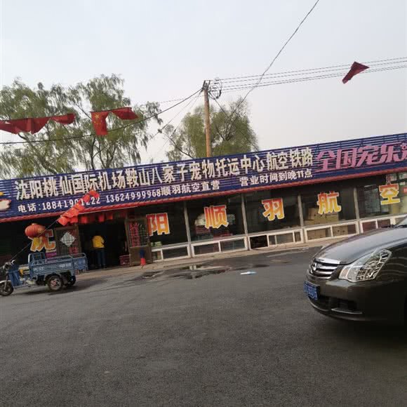 全国宠乐游:鞍山市铁西区