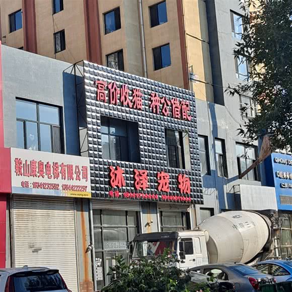 沐泽宠物:鞍山市铁西区
