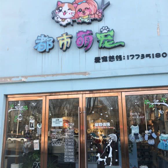 都市萌宠:太原市小店区省体育中心附近