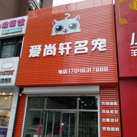 爱尚轩名宠:鞍山市立山区