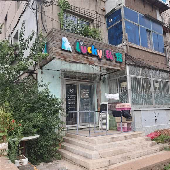 Lucky私宠:鞍山市立山区