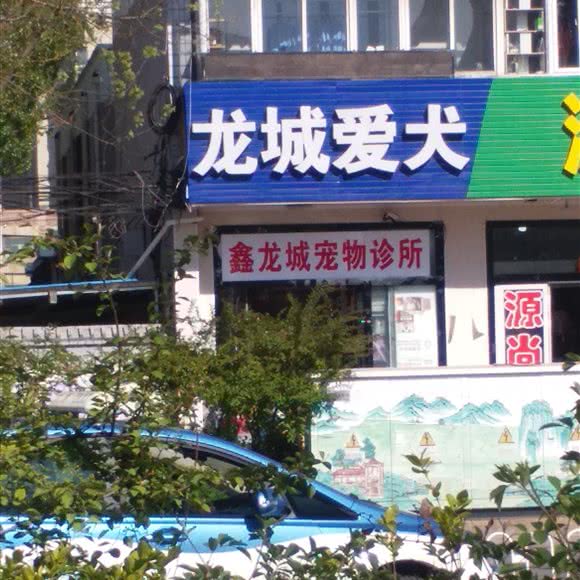 龙城爱犬:太原市小店区省体育中心附近