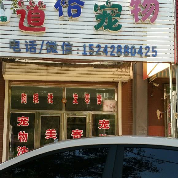 道格宠物狗:鞍山市台安县