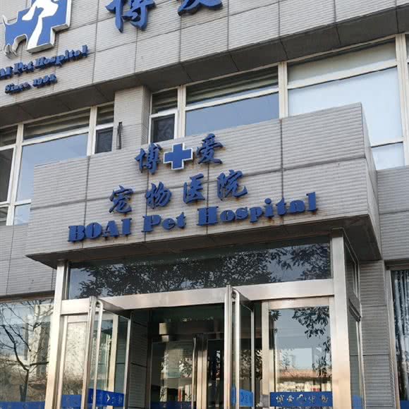 博爱宠物医院:太原市小店区省体育中心附近
