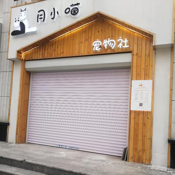 月小喵宠物社:鞍山市海城市