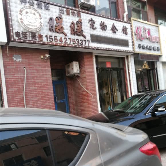 暖暖宠物会馆:鞍山市海城市
