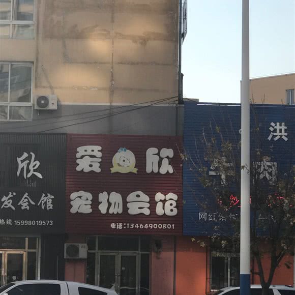 爱欣宠物会馆:鞍山市海城市