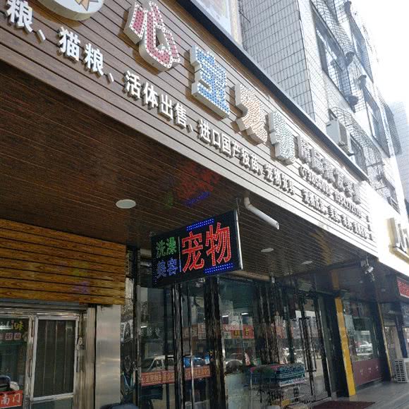 心宝宠物生活会馆:鞍山市海城市
