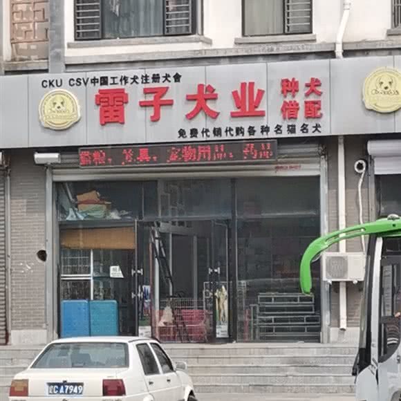 雷子犬业:鞍山市海城市