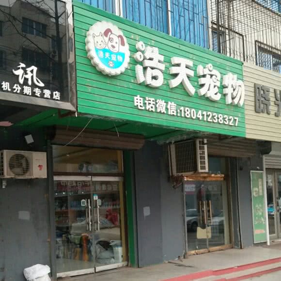 浩天宠物:鞍山市海城市