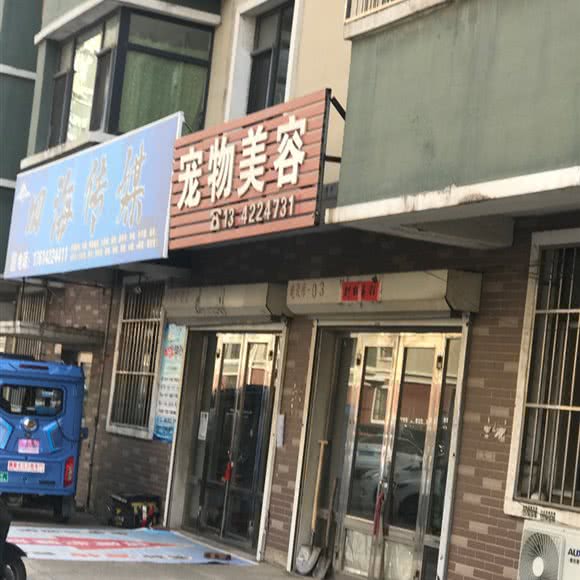 宠物美容:鞍山市海城市