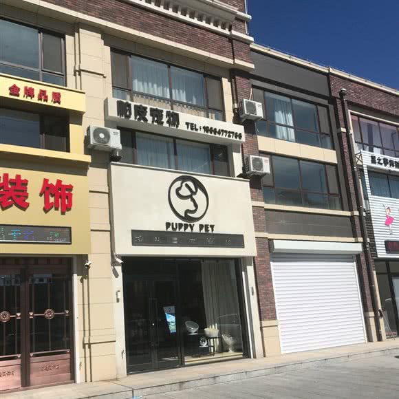 柏度宠物:鞍山市海城市
