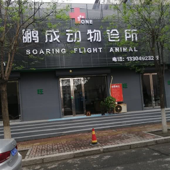 鹏成动物诊所:鞍山市海城市