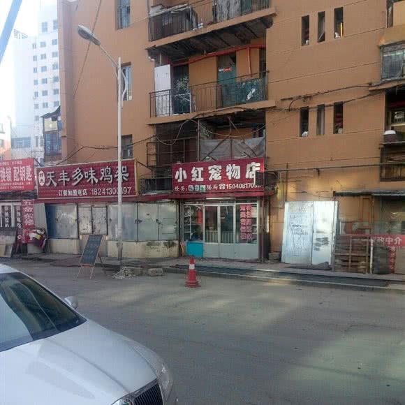 小红面包店:抚顺市顺城区