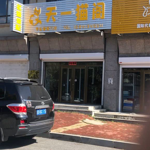 天一猫阁:抚顺市顺城区
