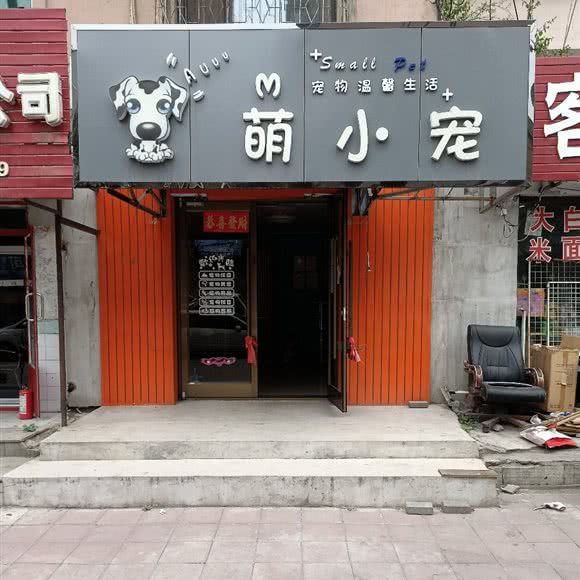 萌小宠:本溪市平山区