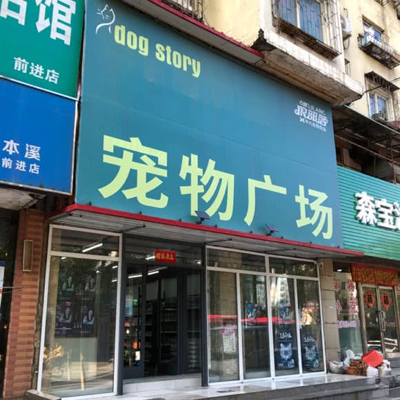 宠物广场:本溪市平山区