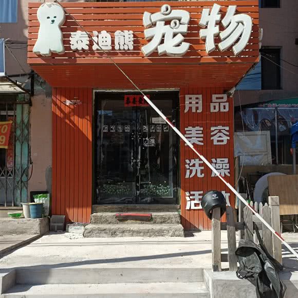 泰迪熊宠物:本溪市平山区