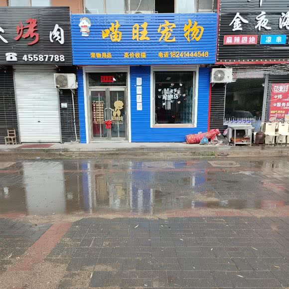 喵旺宠物:本溪市溪湖区