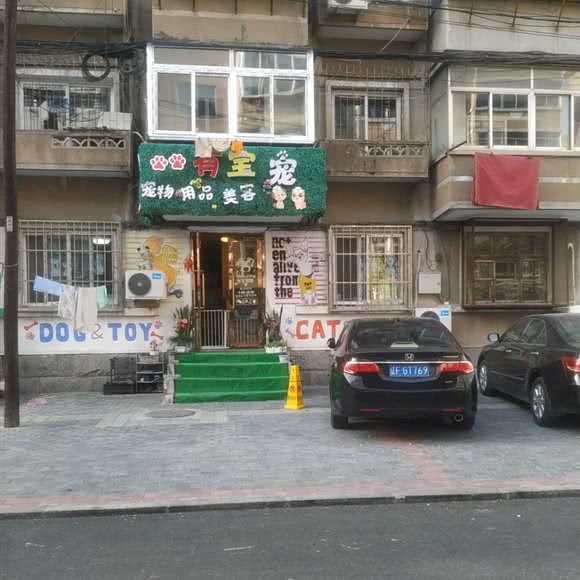 有宝宠:丹东市振兴区