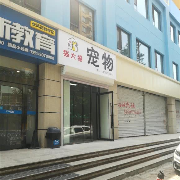 猫大福宠物:太原市小店区长治路附近