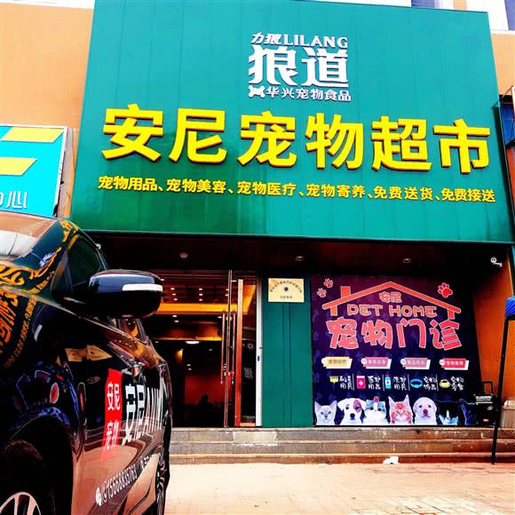 安尼宠物:丹东市东港市