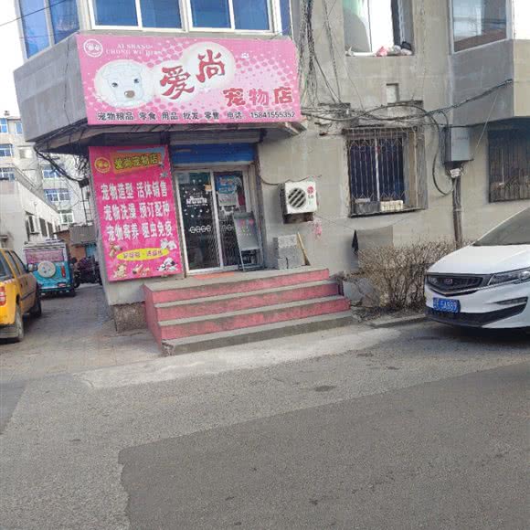 爱尚宠物店:丹东市凤城市
