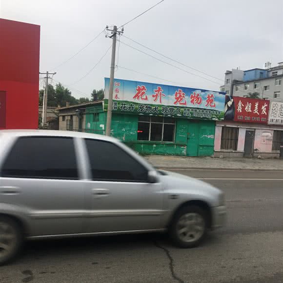 沁园春花卉宠物苑:锦州市黑山县