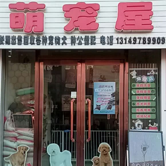 萌宠屋:锦州市凌海市