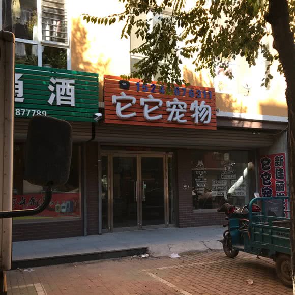 它它宠物:锦州市北镇市