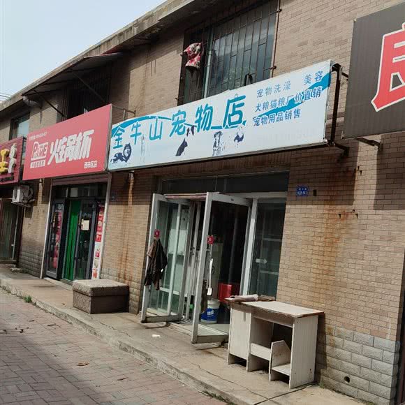 金牛山宠物店:营口市西市区