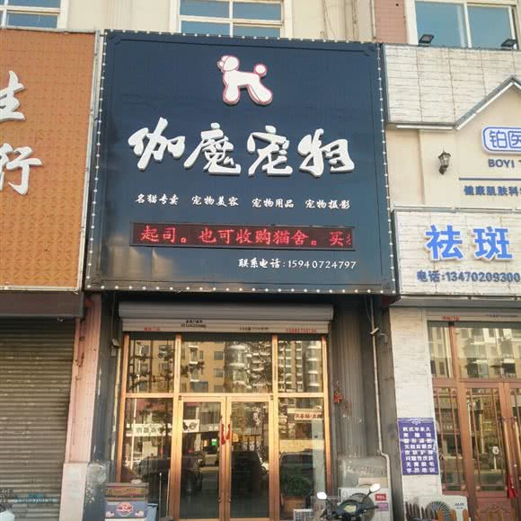 伽魔宠物:营口市鲅鱼圈区