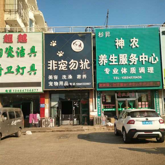 非宠勿扰:营口市鲅鱼圈区