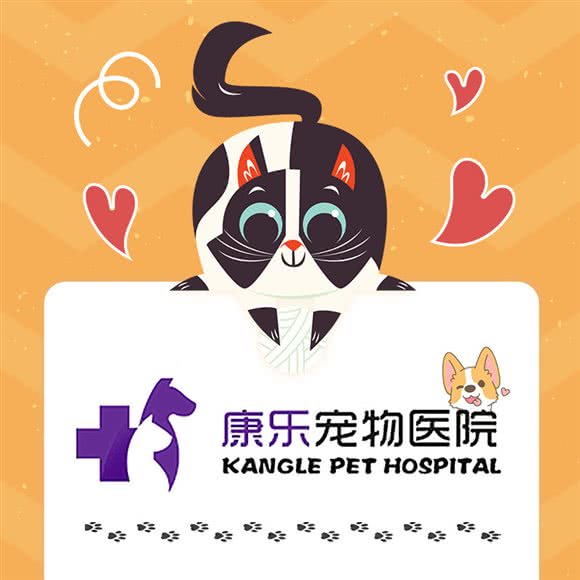 康乐宠物医院:营口市鲅鱼圈区
