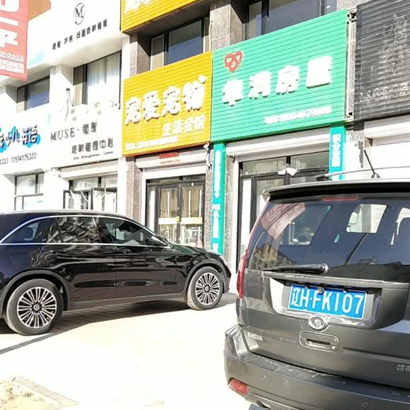 宠爱宠物生活会馆:营口市盖州市