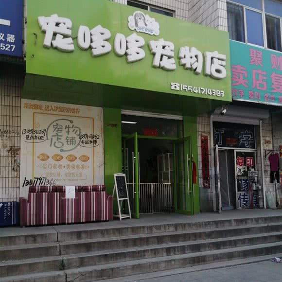 宠哆哆宠物店:营口市盖州市