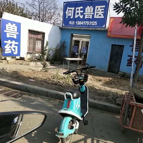 何氏兽医:营口市盖州市