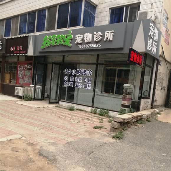 我爱我宠宠物诊所:营口市盖州市